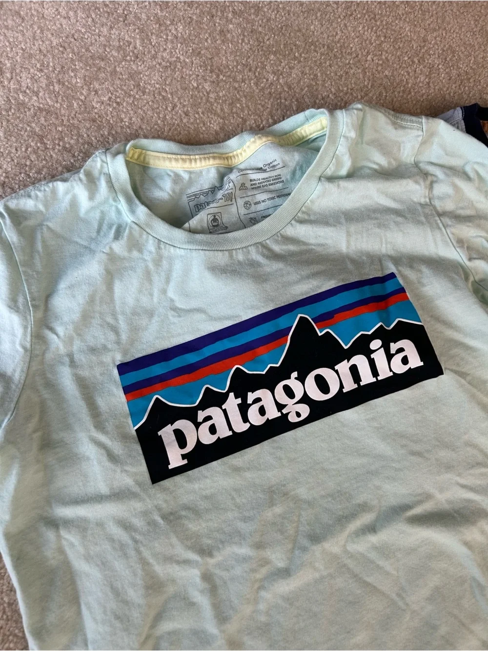 Patagonia bought each